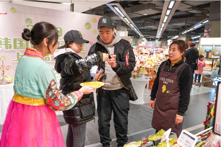 韩国香印青提介绍,寒冬凛冽韩文版