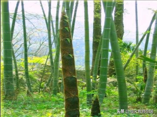 二年级下册语文课堂笔记重点考点,二年级下册语文园地必背考点