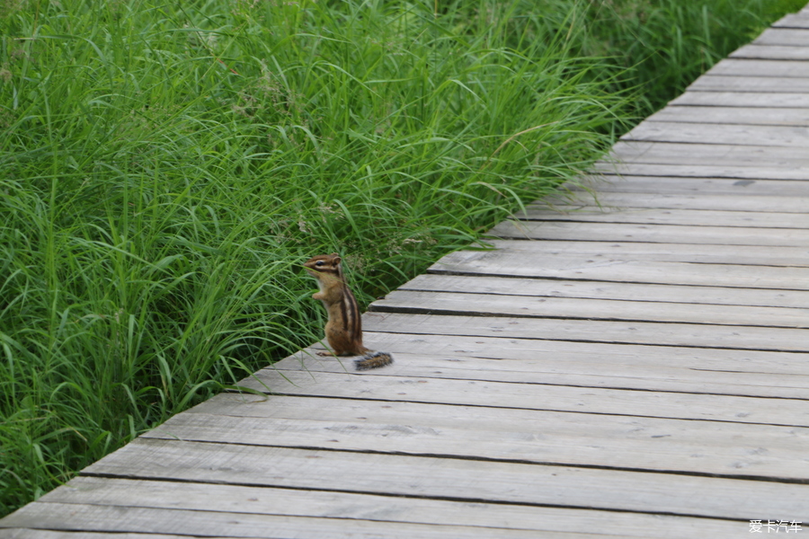 自驾囧途时刻,自驾游闯关东视频