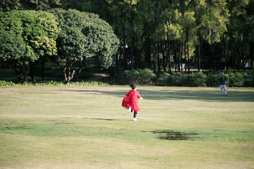 深圳周末带孩子免费游玩好去处,2021深圳免费适合遛娃玩地方排名