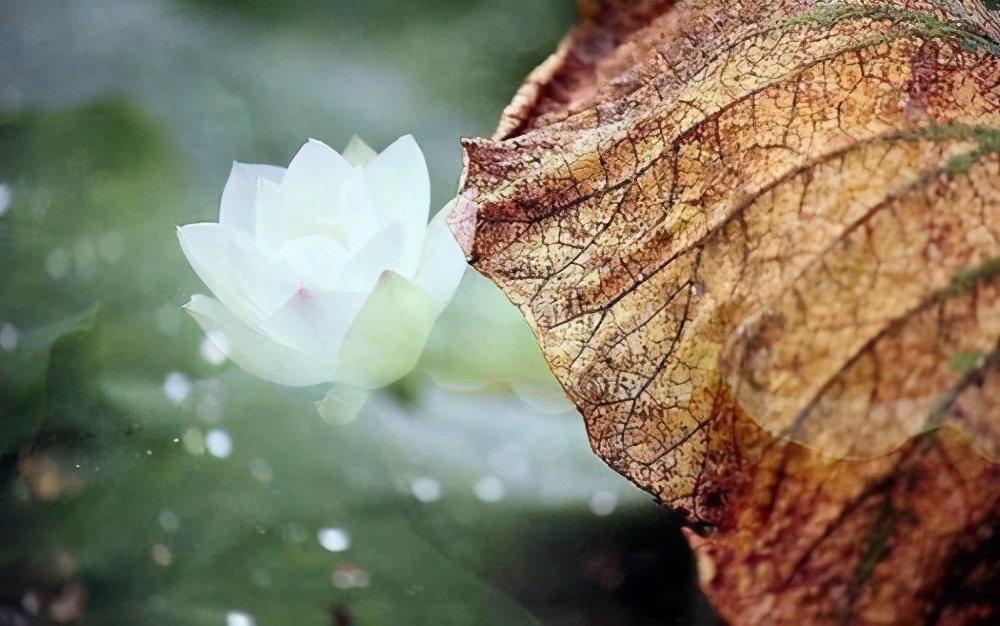 老僧的点醒：感觉生活不如人意时，建议去这3个地方看看