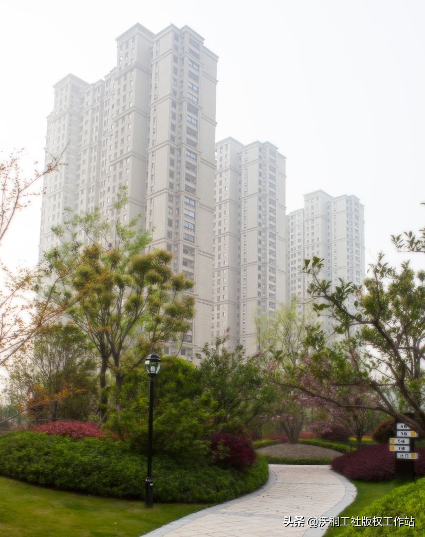 祥泰之州—凤城有佳木