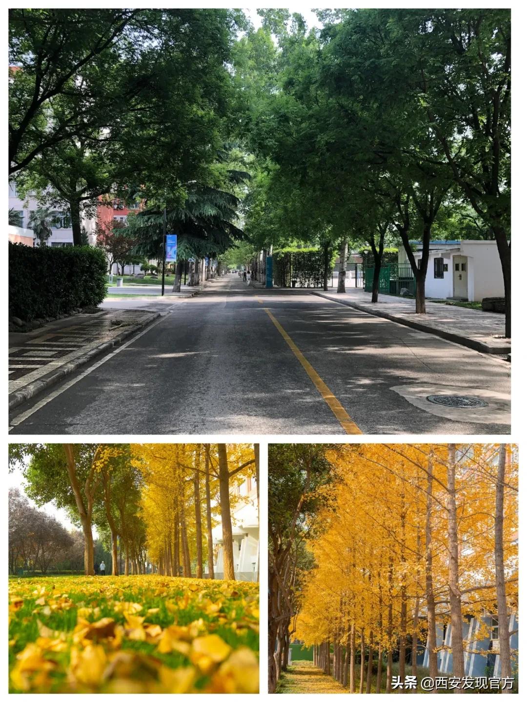 西安欧亚学院是贵族大学吗,西安欧亚学院属不属于全日制本科