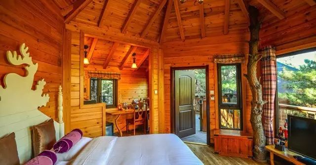 真正的森林树屋,这些树屋满足你对森林的所有幻想