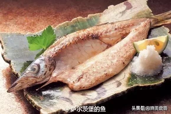32种经典寿司做法视频,寿司常用的鱼