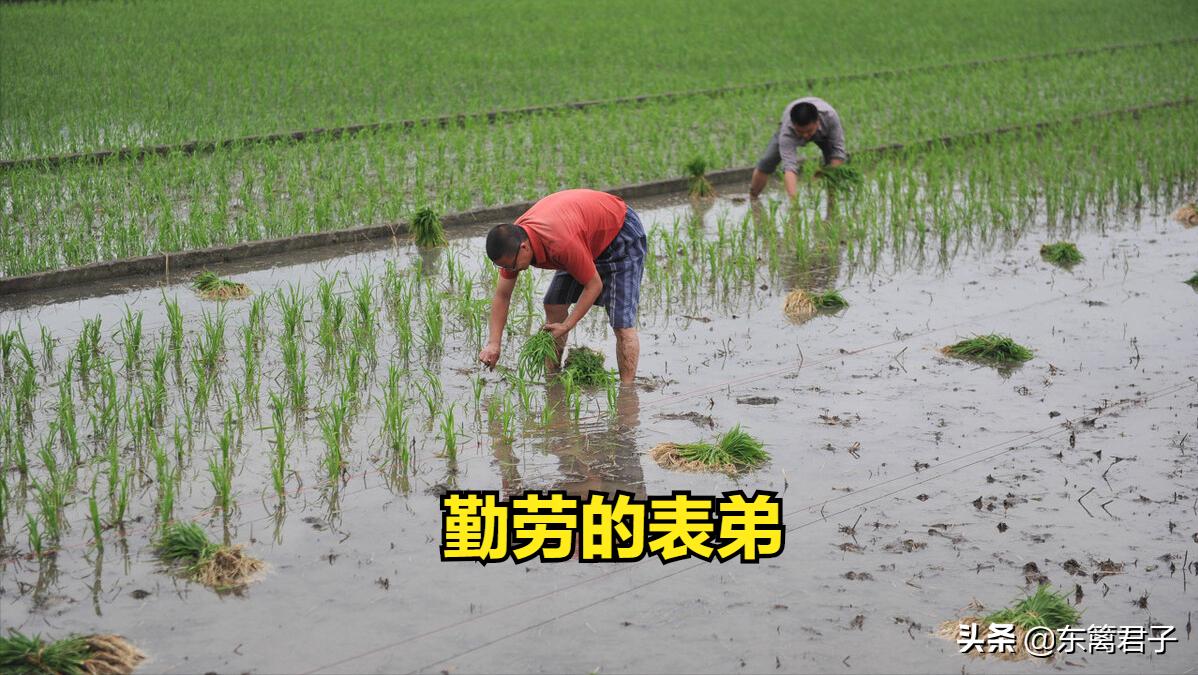 表弟的儿子要去做“倒插门”女婿了，老两口子心情很复杂