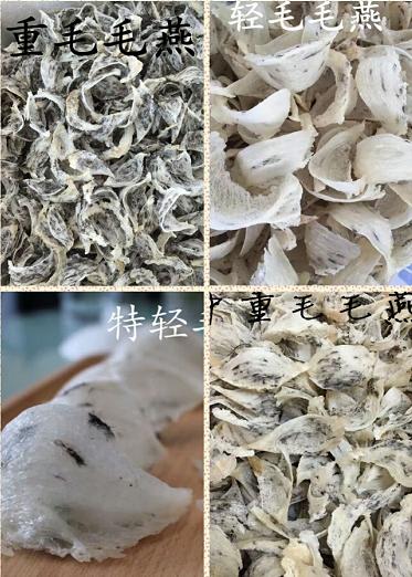 燕窝真假用什么方法鉴别,燕窝真假鉴别方法