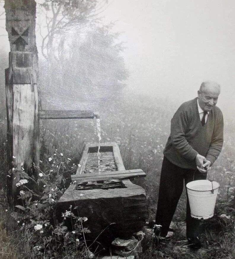 言语生病,言语患病