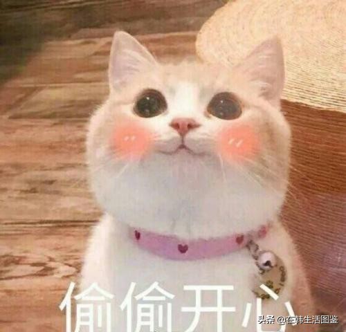 韩国小姐姐怎么护肤,怎样护肤才能get到弹嫩水光肌