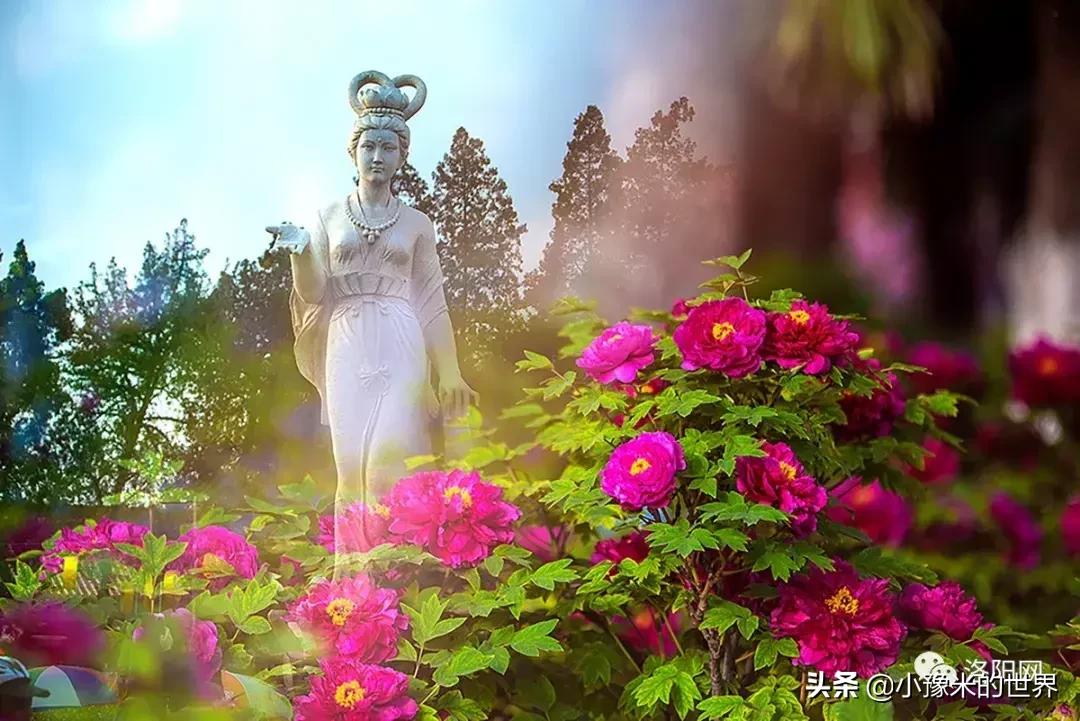 向洛阳人发出邀请国潮盛宴来袭,洛阳发布通知