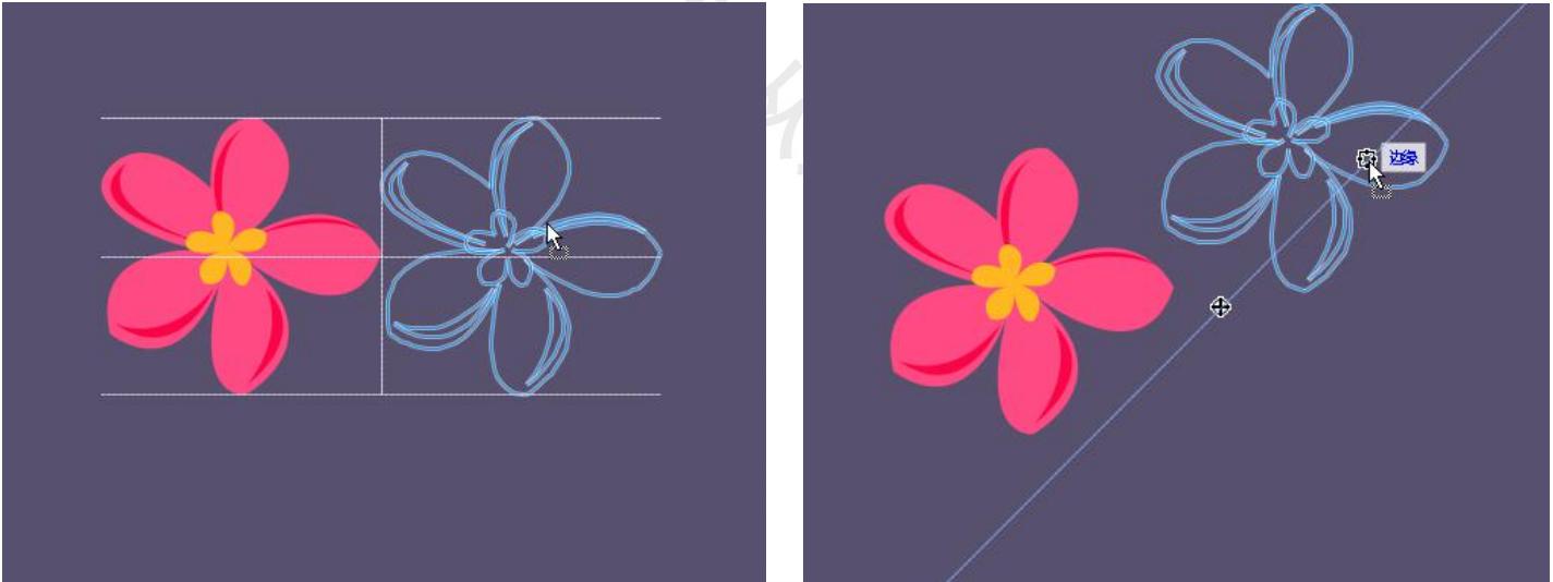 coreldraw快捷键大全学习cdr必备,平面设计coreldraw