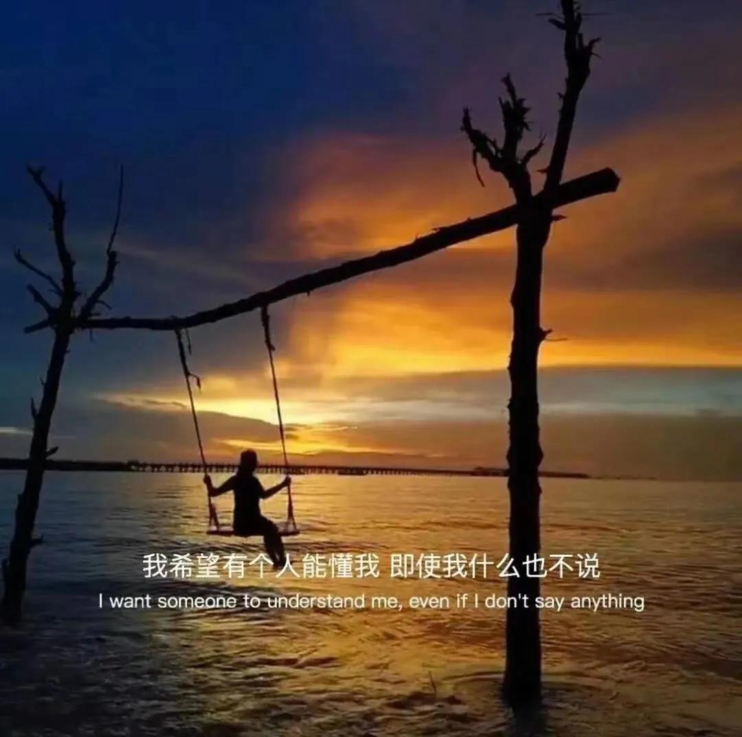 大自然治愈清新的背景图,文艺清新淡雅鲜花背景图