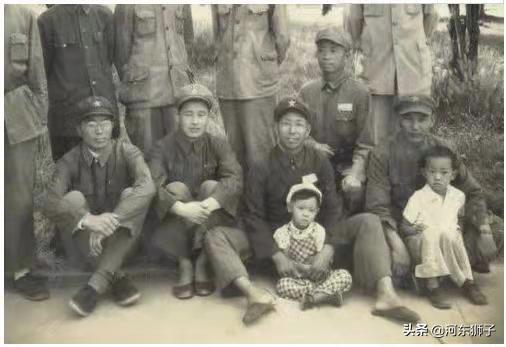 四野三个朝鲜师的来历,四野三个朝鲜师