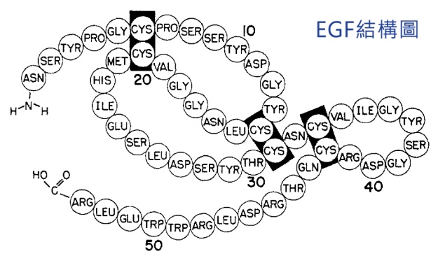 冻冻才开心——谈谈破朔迷离的*干粉冻**