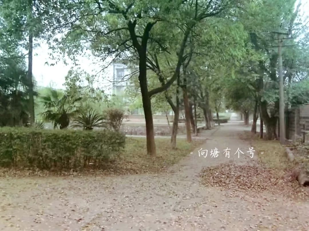向塘好久不见,向塘中学