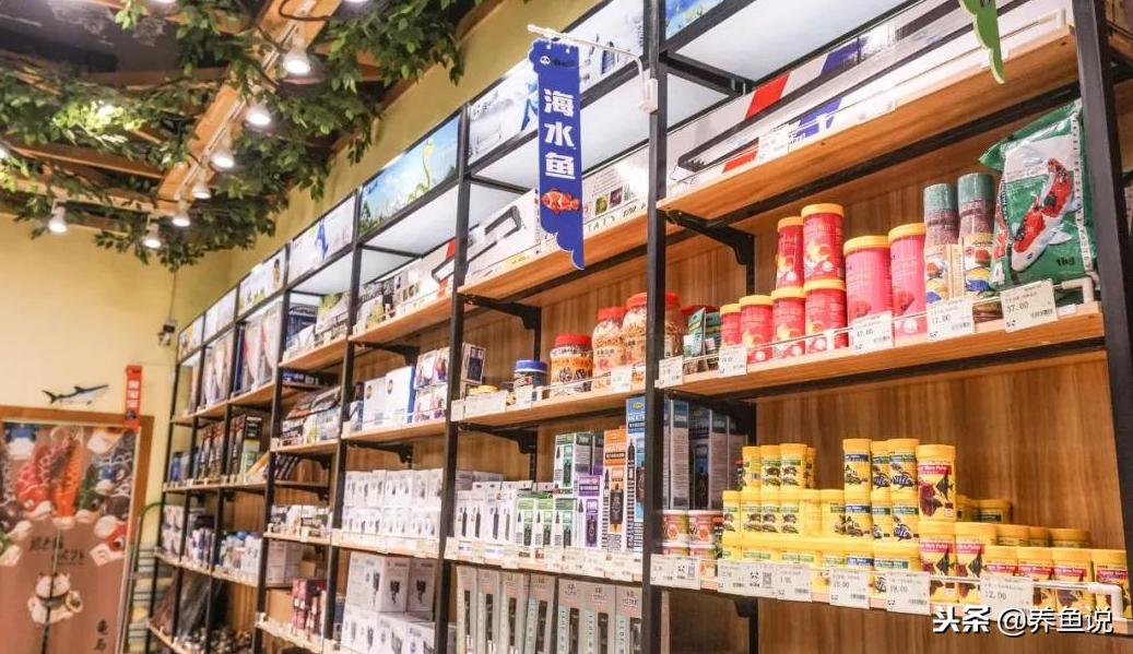 买观赏鱼应该去什么地方,买观赏鱼去哪个地方