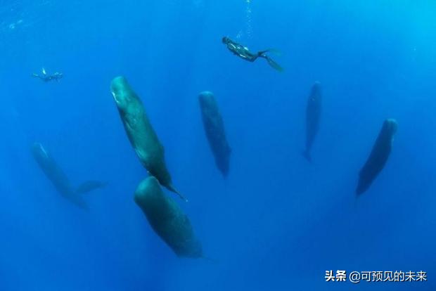 大自然的奇妙之处写话,大自然的奇妙之处作文350字