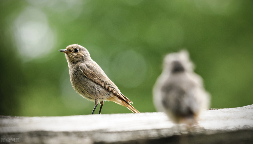 寻找自由的人,找寻自由的路上
