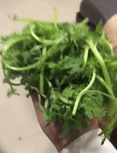 “如果这群女混混*攻围**我,我会舌战群儒!”你会怎样脱困?