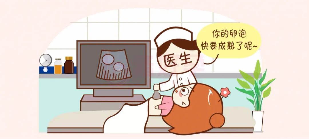 什么时候监测卵泡最合适,卵泡监测是b超还是阴超