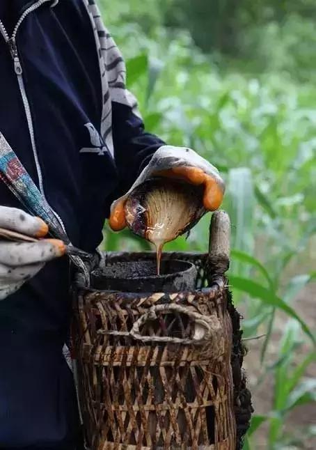 大漆加桐油怎么做面漆干的快又亮,桐油和水性清漆