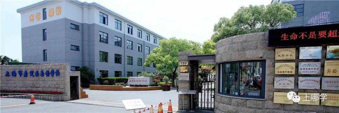 上海7所小学强势逆袭,上海最好的黑马小学