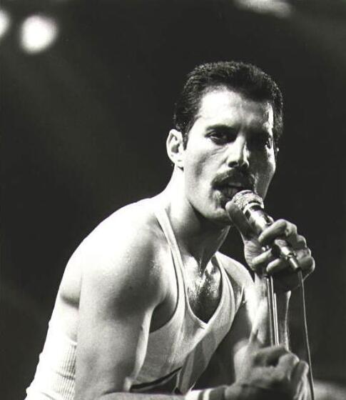 波西米亚狂想曲最好的翻唱,波西米亚狂想曲十首