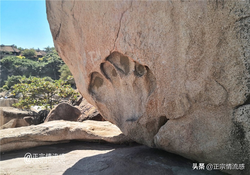 芽庄印象｜|想说爱你不容易