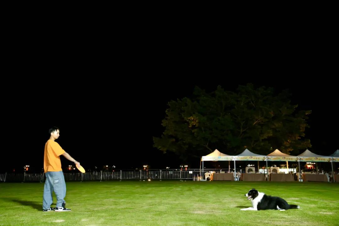 还记得那只C位出道的珠海狗狗么？