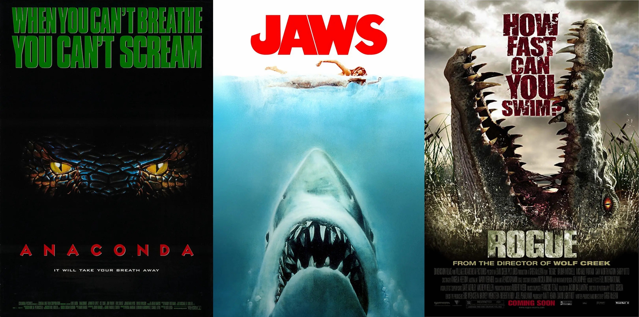 真蛇大战真实视频,拍人蛇大战用的是真蛇吗