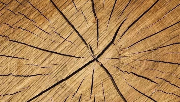 买家具你必须要知道的事,实木家具伸缩缝最好的处理方法