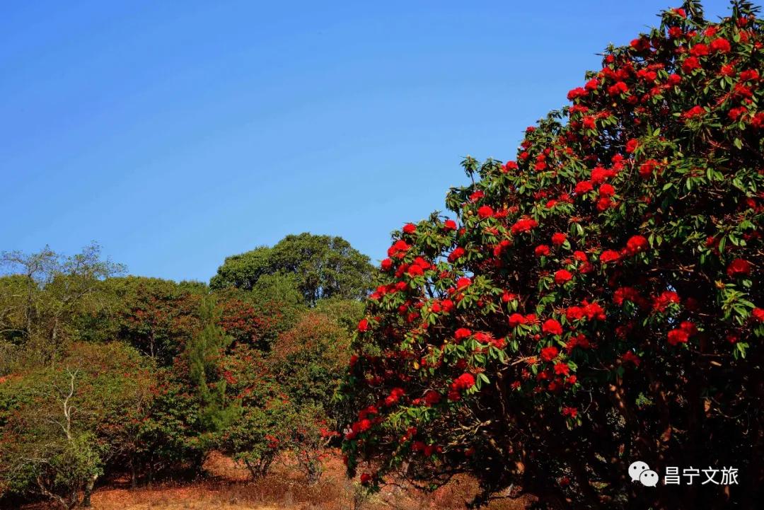 澜沧江梅里大峡谷景观,澜沧江大峡谷美景
