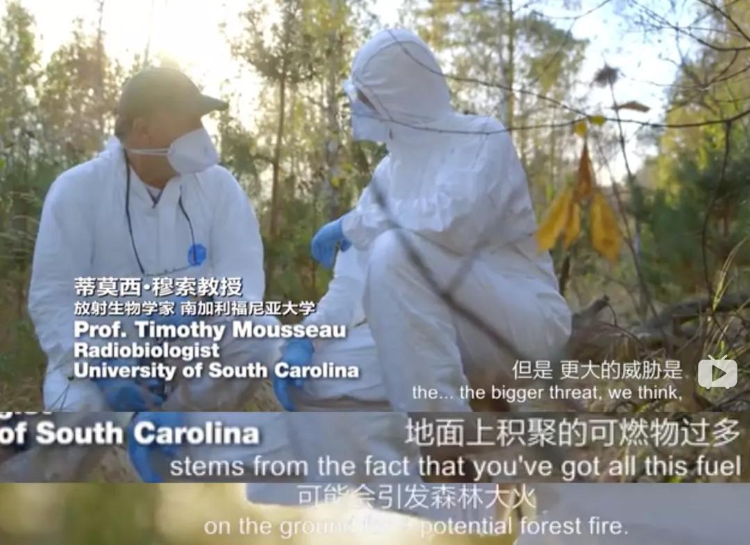 切尔诺贝利山火为什么没灭,切尔诺贝利核电站爆炸消防员救火