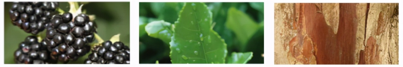 阿玛尼myway香水和祖玛珑蓝风铃,祖玛珑香水丝绒玫瑰与乌木100ml