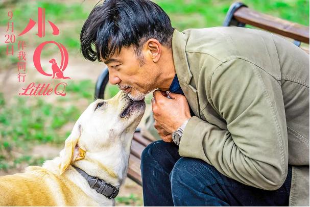 NG次数打破从影记录,任达华的《小Q》本就与众不同