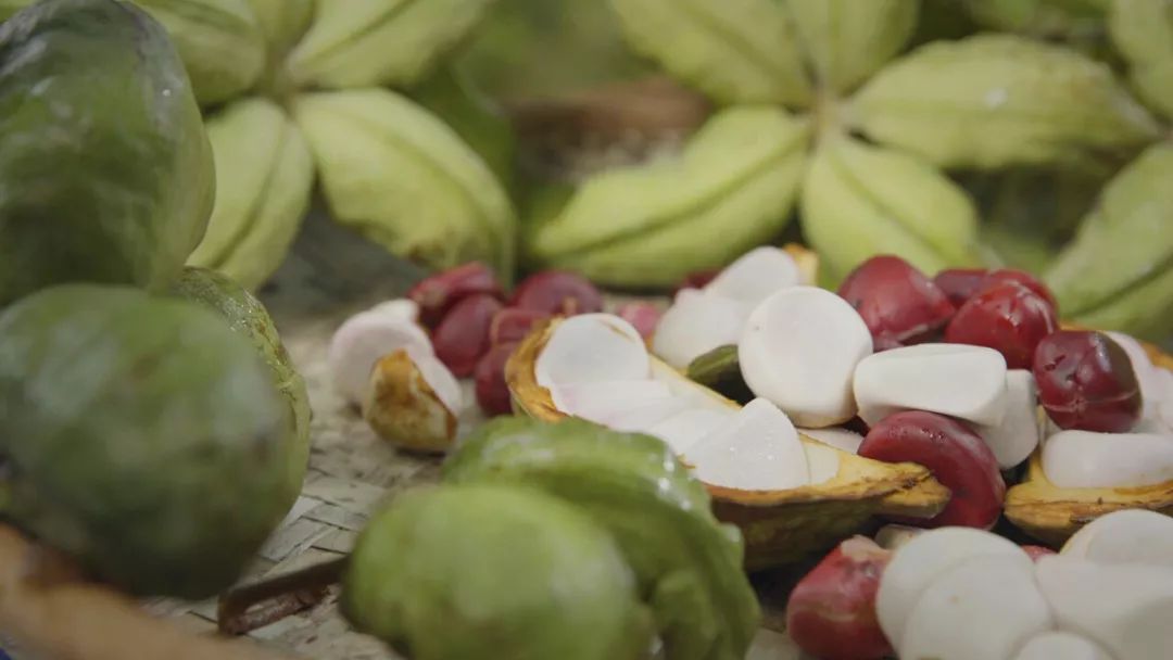 可乐能长在树上吗,可乐是树上长的吗