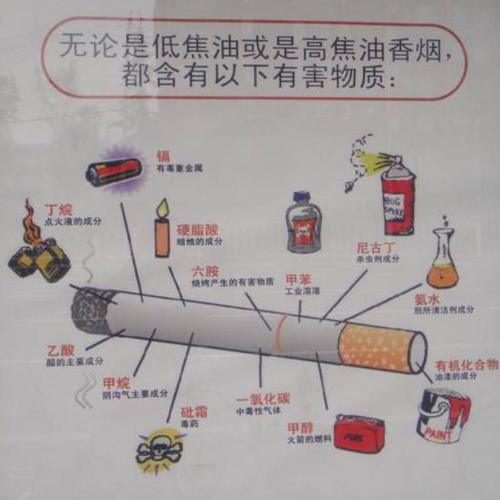 如果全国人民都戒了烟会怎样,如果全国每个人都抽烟会怎么样