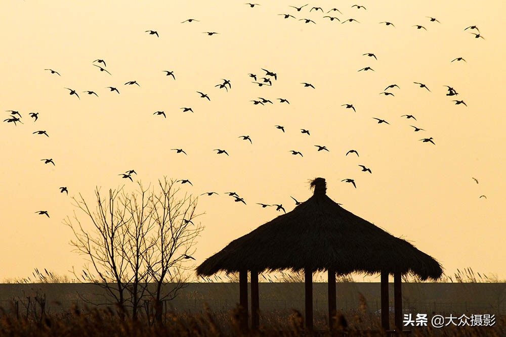 掌握光影,掌握光与暗