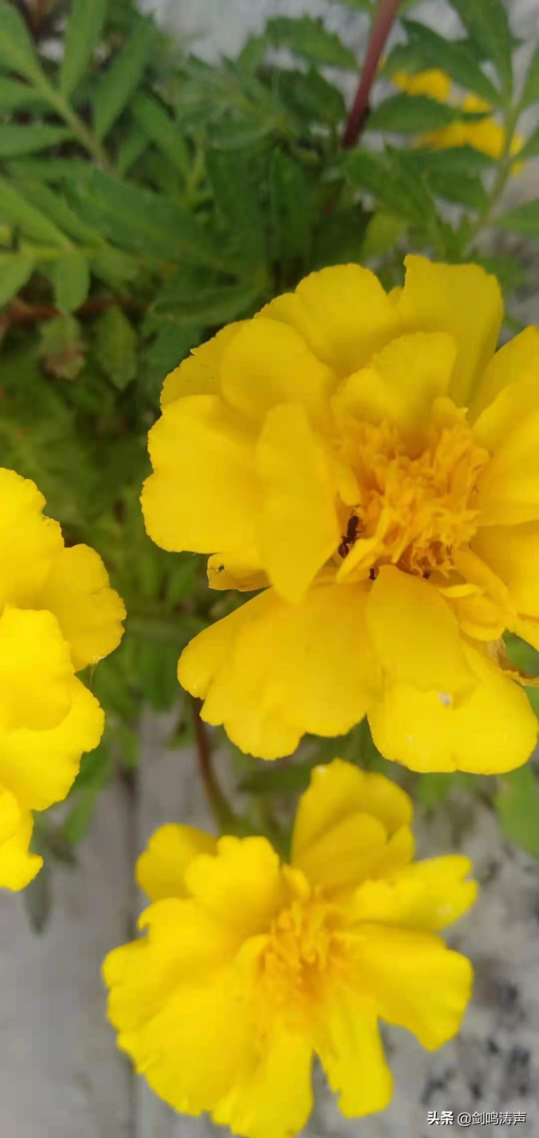 电脑刷机重装系统,电脑如何重装系统