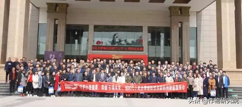 赤霉病白粉病锈病哪个减产厉害,赤霉病和小麦白粉病