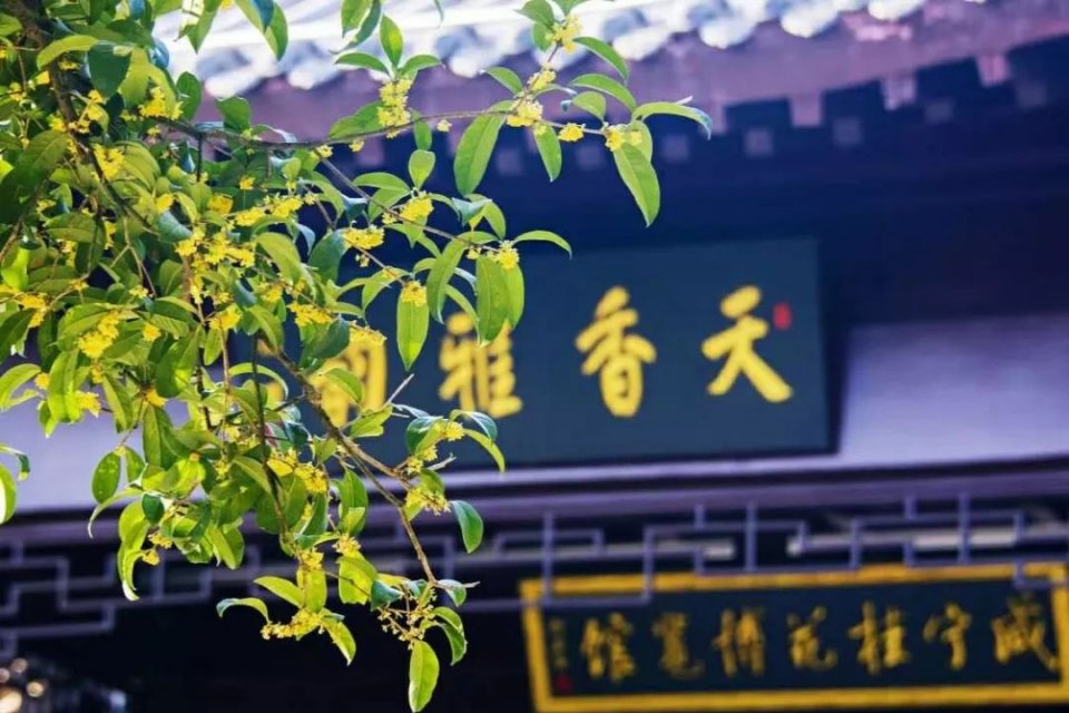 中国十大温泉城市,中国特别有名的十大温泉馆