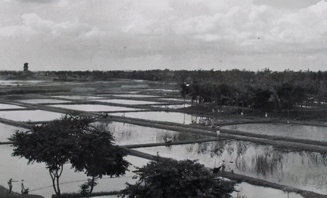 国民党土匪拜把子完整版,土匪拜把子