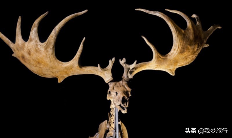 厦门旅游攻略及感悟自由行,厦门旅游推荐最全攻略自由行