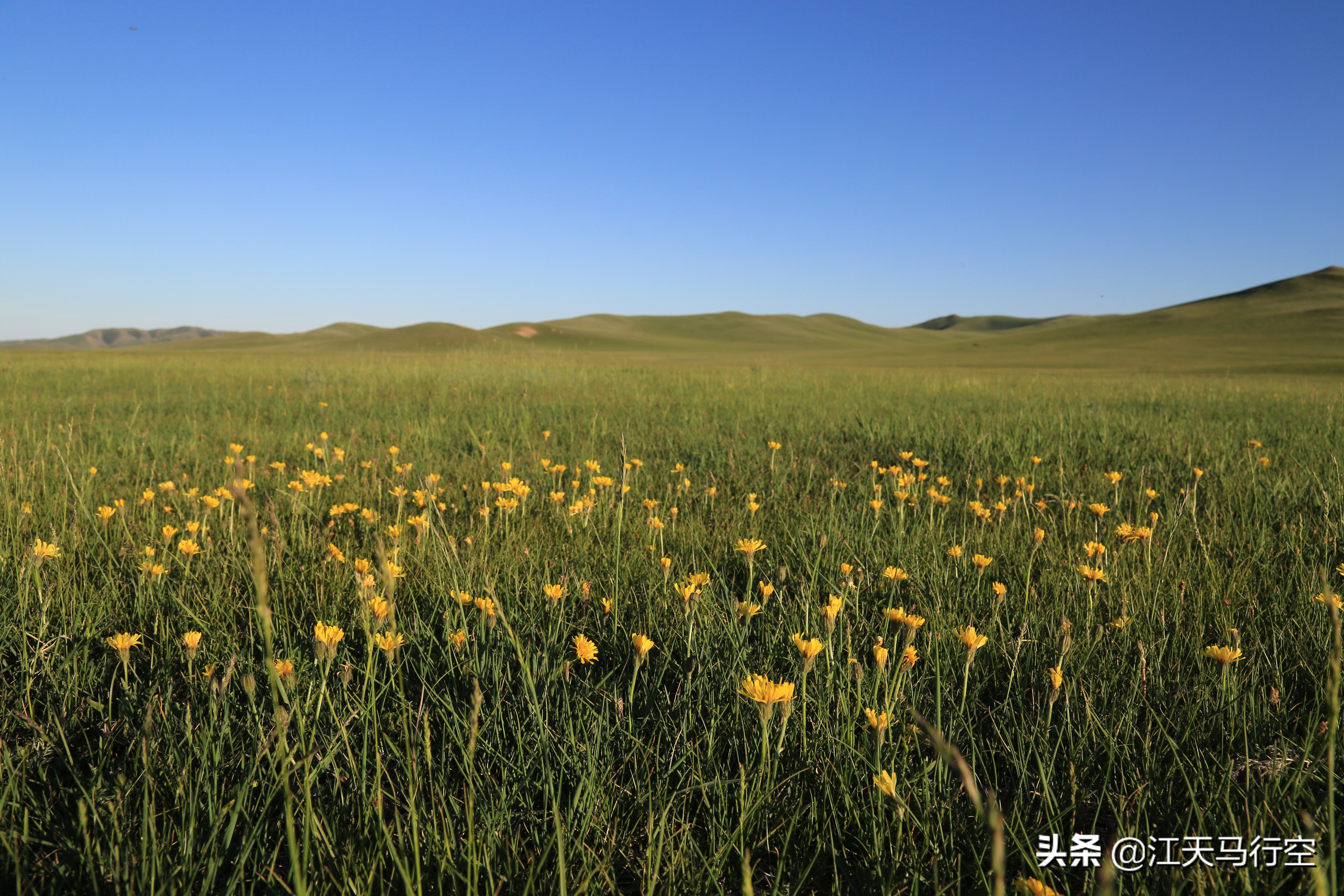 内蒙古草原与国家公园,内蒙古的草原自然公园