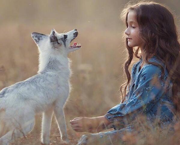 学日语培训班学校排名前十,上海日语培训学校排名