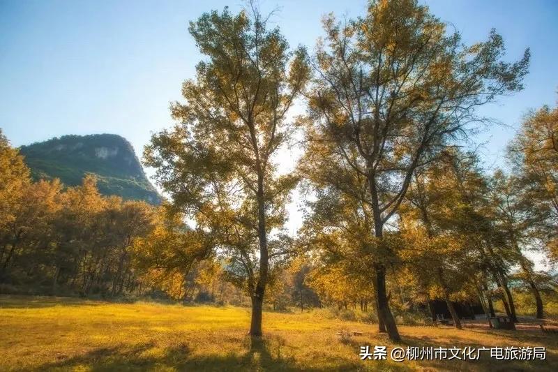 旅游农家乐,旅游休闲两不误