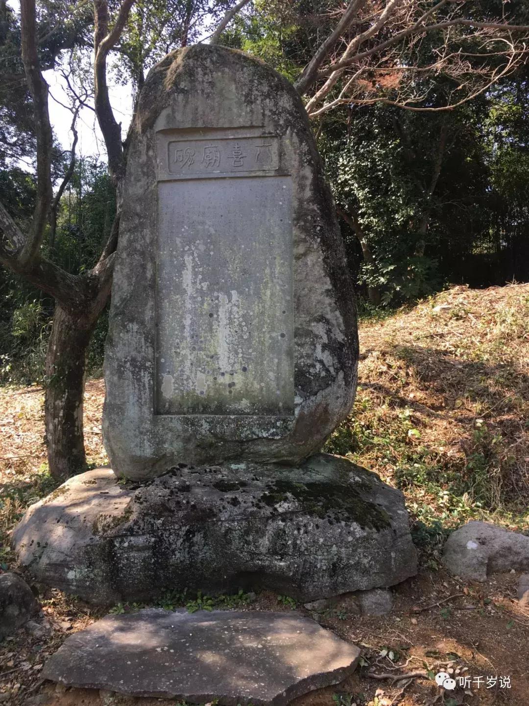 日本东京熊本熊,日本熊本游