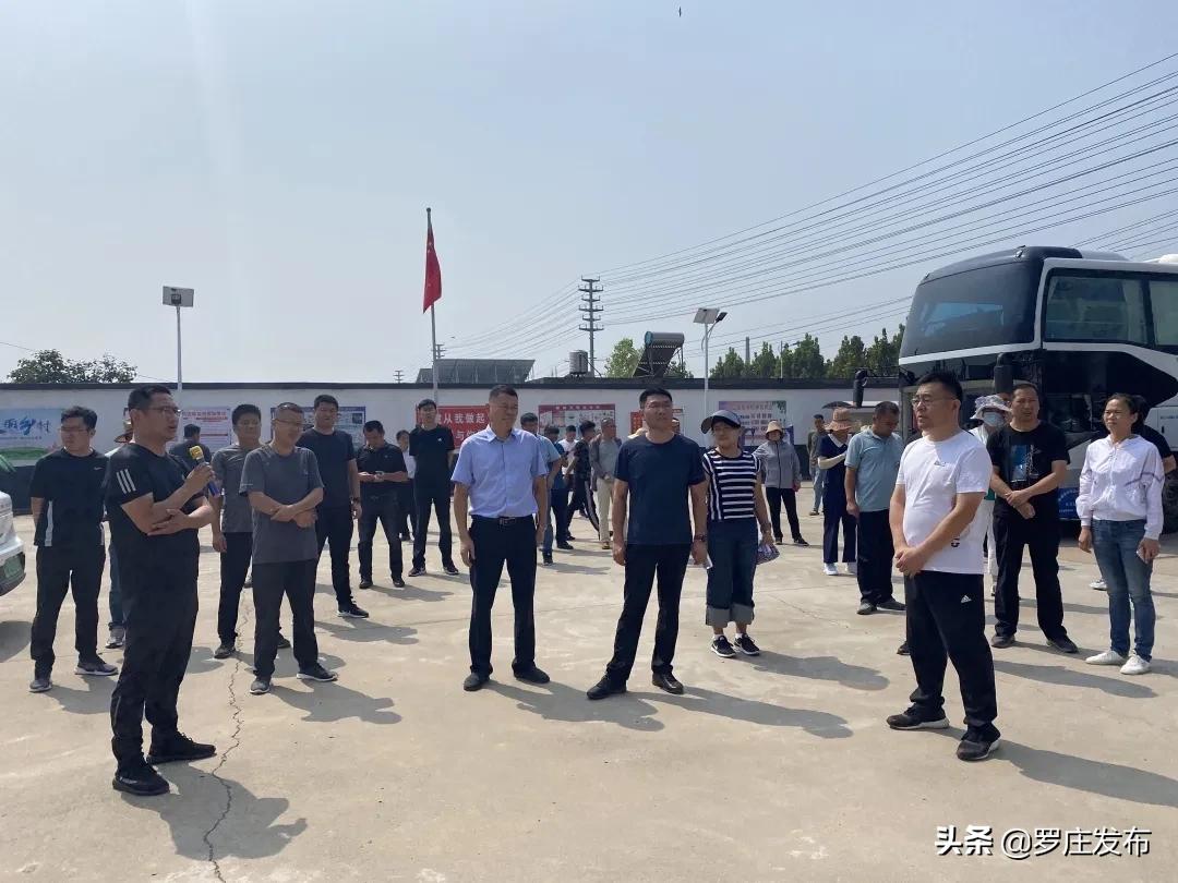 罗庄新闻决战创城,罗庄最新创城新闻