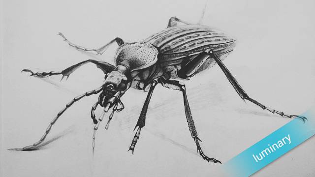 漫画入门零基础画画教程,0基础画画临摹推荐