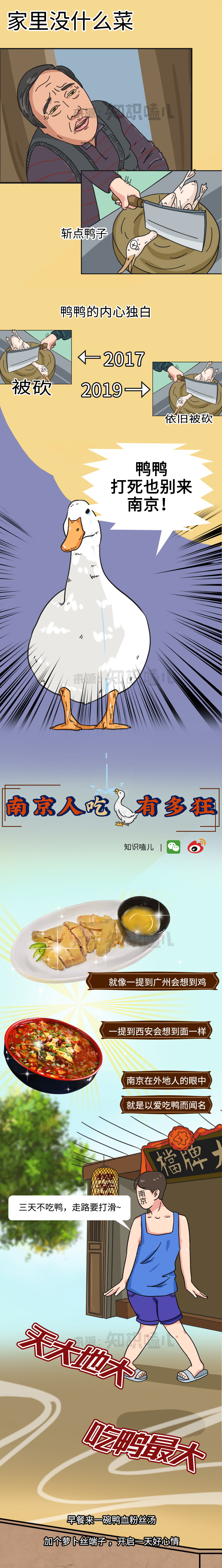 半成品鸭怎么做,教你如何养好鸭